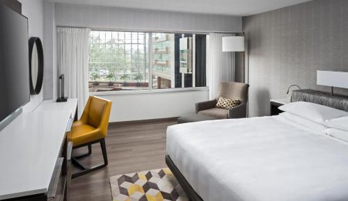 King Room with Accessible Shower - Disability Access