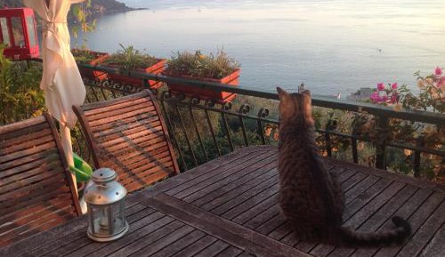 Deluxe Double Room with Sea View