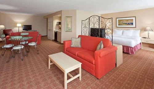 1 King Bed, Deluxe Family Studio Suite, Non-Smoking