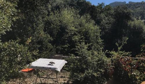 Double Room with Mountain View