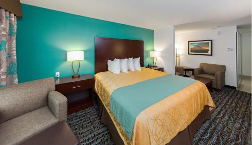 King Room - Not Pet Friendly 