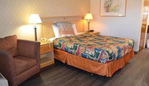 Single Room - Disability Access