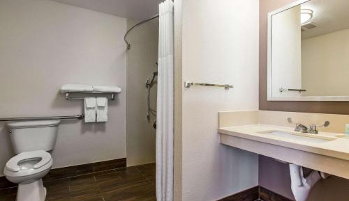 Standard King Room with Roll-in Shower - Accessible/Non-Smoking