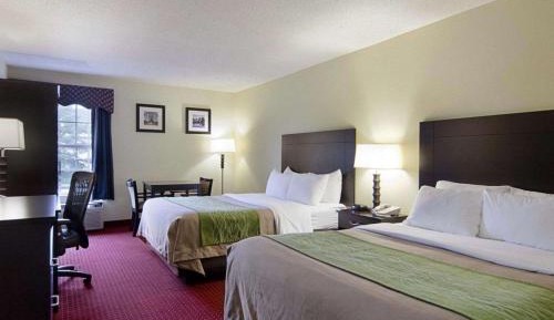 Queen Room with Two Queen Beds - Non-Smoking
