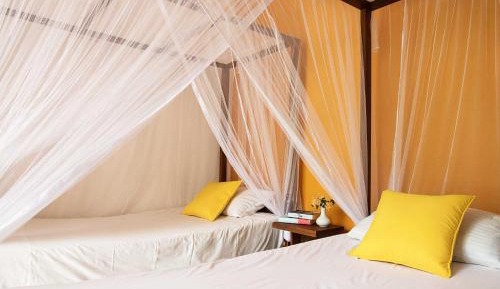 Deluxe Triple Room with Private Bathroom