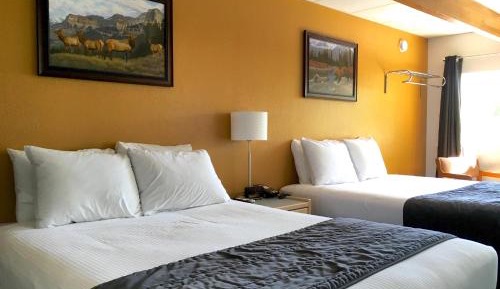 Modern Double Queen Room