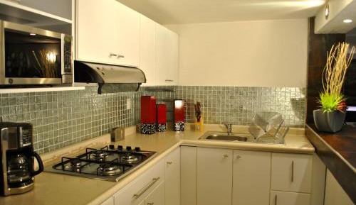 Large One-Bedroom Apartment