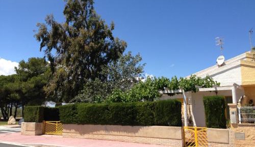 Holiday Home