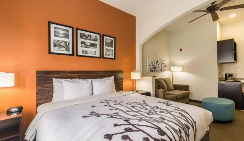 King Suite with Sofa Bed - Non-Smoking