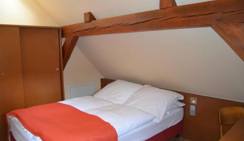 One-Bedroom Apartment with Sofa Bed