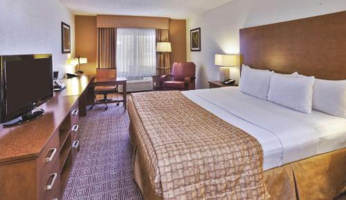 Standard King Room