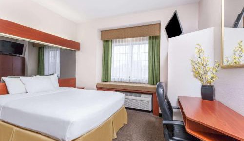 1 Queen Bed, Studio Suite, Non-Smoking 