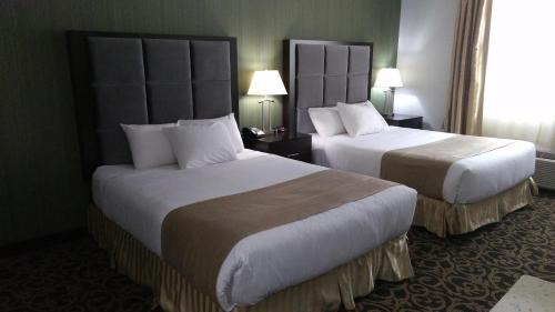 Kitchenette Suite- 2 queen beds