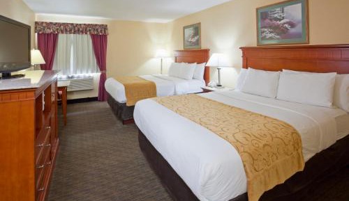 Standard Queen Room with Two Queen Beds