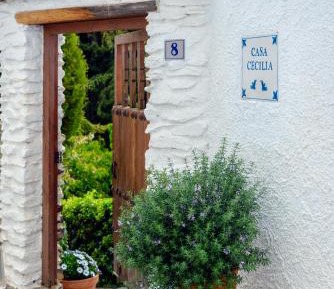 Apartment with Garden View