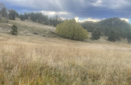 Nederland Cabin | Slice of Wild Heaven: Magical, Cozy, Forest Cabin @ the Top of the World. Views