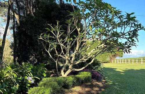 Kairi Cottage | Farmview Cottage, Kairi, Atherton Tablelands. A home away from home.