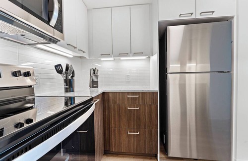 Lower Allston Apartment | Luxury 2bd/2ba near Harvard 1094