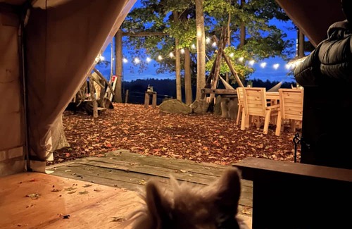 Winona Cabin | Private cabin and spa in the woods! Pet Friendly!