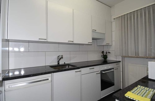 Orselina Apartment | Large apartment on the 1st floor for 1-2 persons.