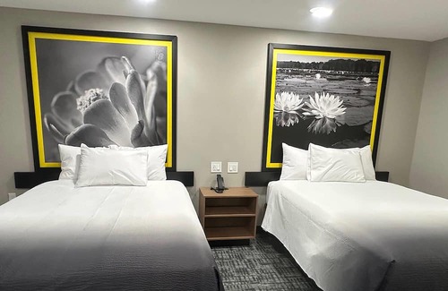 Lubbock Hotel | Super 8 BY Wyndham Lubbock Airport