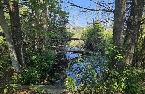 Black River House | Exclusive Private Lake Huron-front Sanctuary Engulfed by 8 Mile-long Sandy Beach