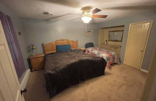 Springfield Apartment | Scenic lower level 1-bedroom apartment in wonderful Springfield with WiFi, AC