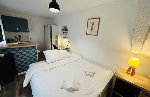 Reims Apartment | Le Cosy Landouzy | Gare Centre