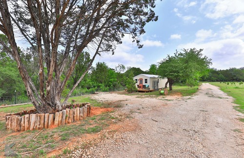 Buffalo Gap Cabin | Secluded cabin, "The Lady" on Christmas tree farm, near Perini Ranch Steakhouse!