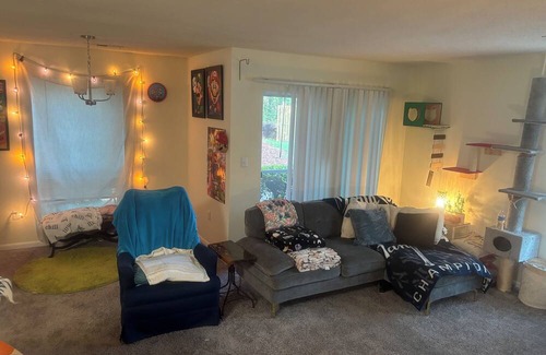 St. Andrews Apartment | Cozy Secluded Getaway