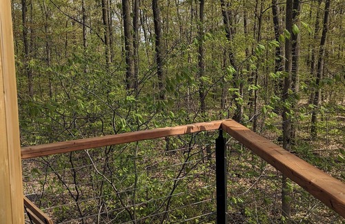 West Lincoln Cabin | Modern Cabin in the Woods
