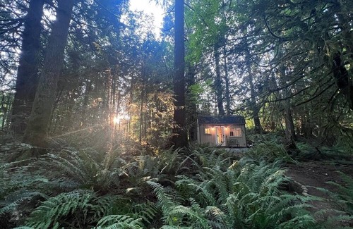 Snohomish Cabin | Tiny Hideaway Cabin