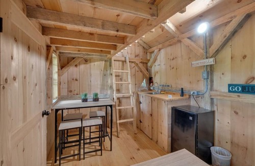 Caledon Cabin | Cozy Cabin - 1BR - Lake Access - Fire Pit