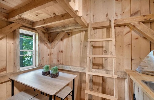 Caledon Cabin | Cozy Cabin - 1BR - Lake Access - Fire Pit