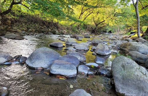 Del Rio Cabin | Enjoy Mother Nature and Spring at The Spot!