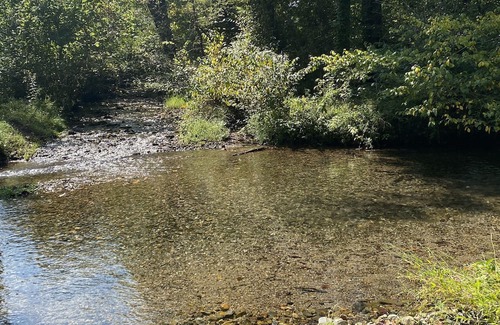 Norman Cottage | Beautiful property on the Caddo River. Fishing or floating is steps away.