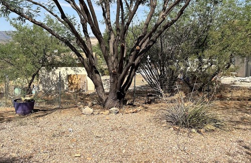 Rio Rico Northeast House | "Rio Rico Serenity: Your Ultimate Vacation Haven Awaits!"