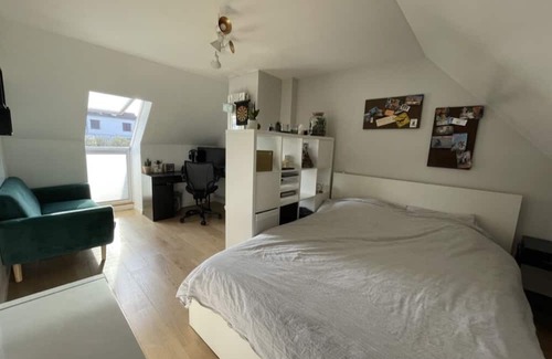 Hotel de Ville House | Large house with garden and parking