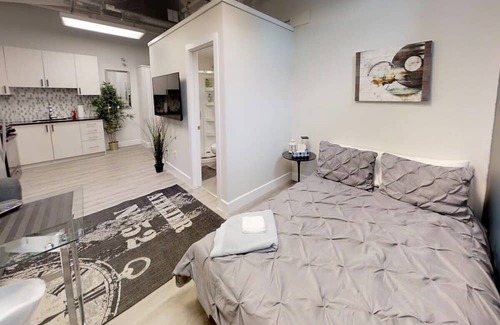 Sandy Hill Apartment | Bachelor apartment in downtown!