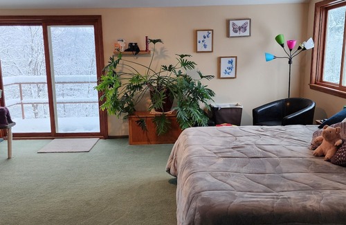 Ithaca House | Beautiful home on wooded acreage minutes to Cornell, NYS Parks and waterfalls