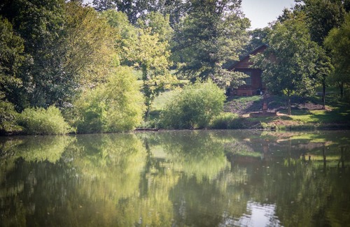Carbondale Cabin | Hot Tub Cabin- In the Heart of Shawnee Wine Trail