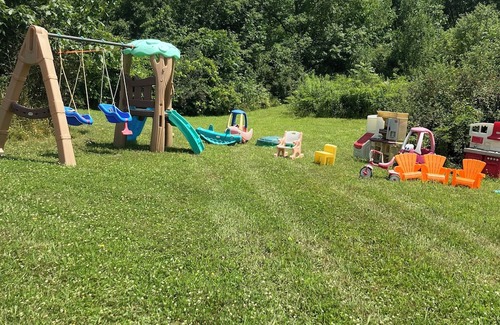 Dundee Cabin | Cozy, rustic off grid cabin on 15 acres. Pet friendly! No cleaning or pet fees!!