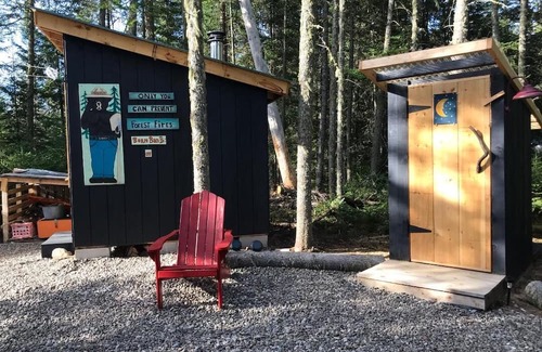 Bloomingdale Cabin | Ten/ twenty minutes to Lake Placid, Whiteface Mnt. Saranac Lake!