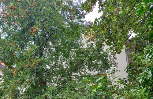 Osternburg Apartment | Zentrale Wohnung-damm-36