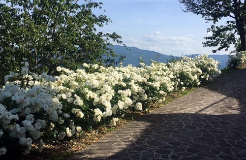 Gattaia House | Homerez - Beautiful house for 2 ppl. with shared pool at Gattaia