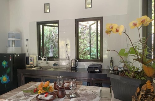 Payangan House | Das Dschungel zu Hause Neben Privatem Wasserfall