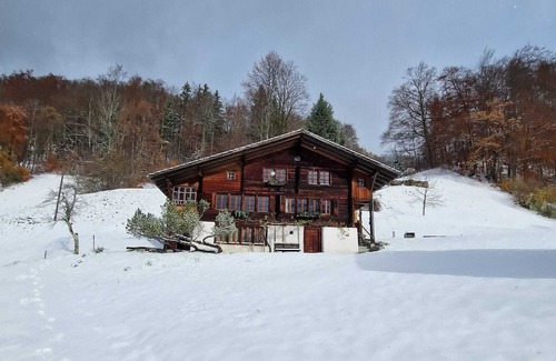 Schwanden bei Brienz Apartment | John's Studio