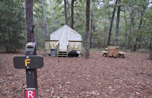 West Livingston RV Rental | Tentrr State Park Site - TX Lake Livingston State Park - Site B - Single Camp