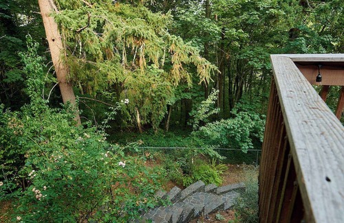 Fairmont House | Wooded Hillside Retreat w/Heated indoor Pool