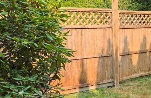 Steveston House | Guest Suite Studio One bedroom Large bathroom living room fenced yard Privacy